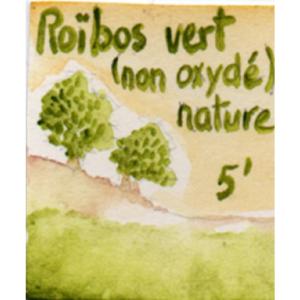 Rooibos vert