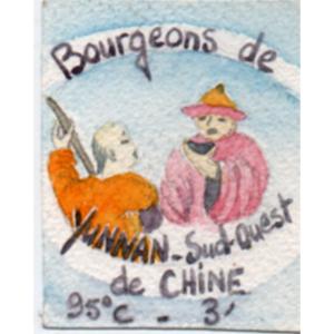 Bourgeons de Yunnan