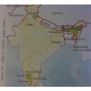 Les ths d'Inde :  la dcouverte des rgions emblmatiques